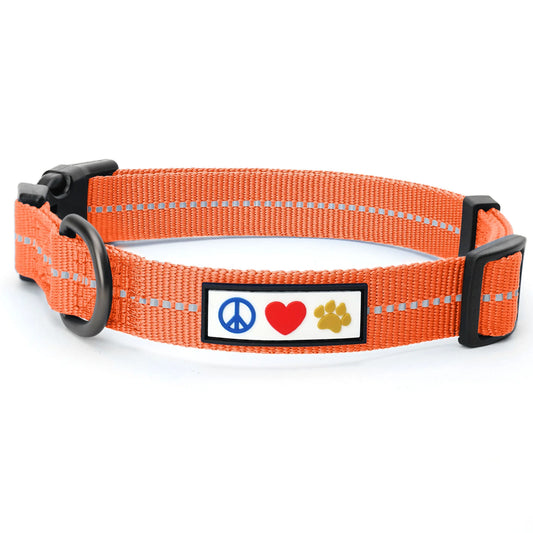 Dog Collar for Medium Dogs Training Puppy Collar with Solid - M - Lush Green